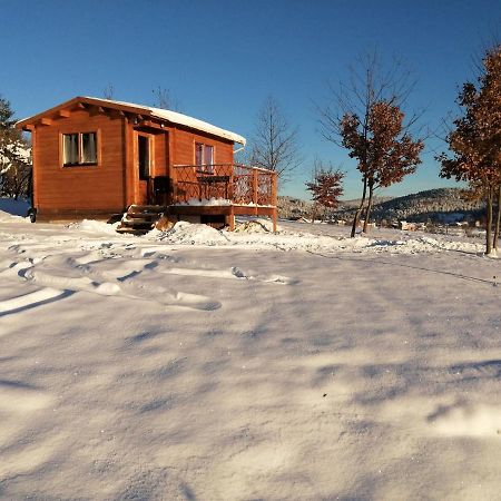 Le Chalet Des Etoiles Champagnac-le-Vieux 외부 사진
